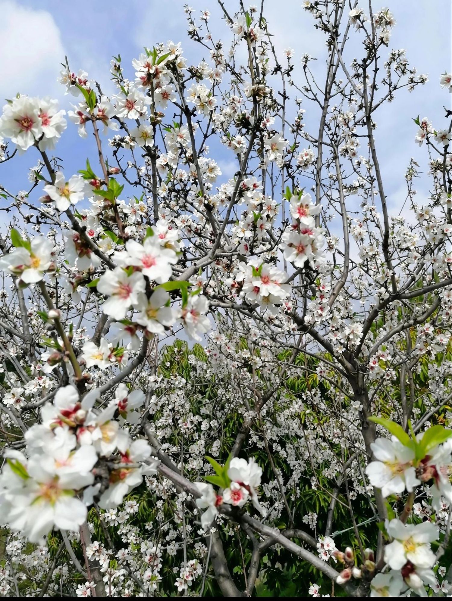 Casa independiente en Carretera, 188 - Foto 36