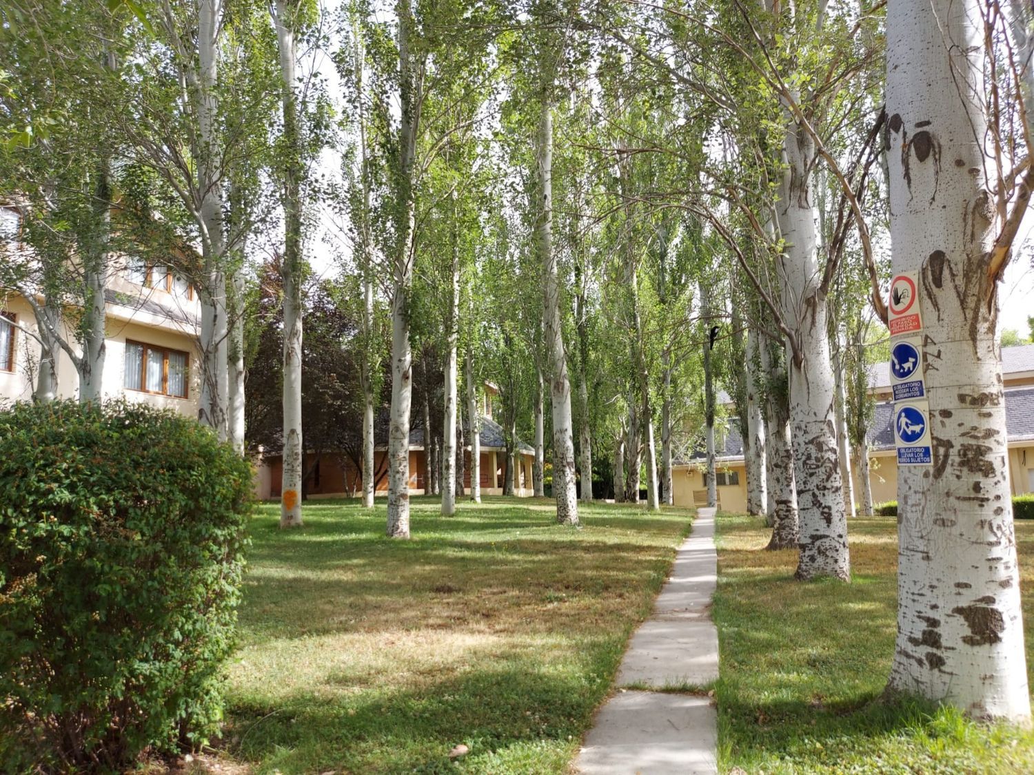 Piso en calle Monte Escorial, 4 - Foto 11