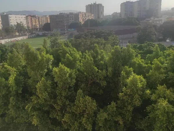 Piso en Calle Corregidor Francisco de Molina, 35, Pol Ctra de Cártama - Foto 4