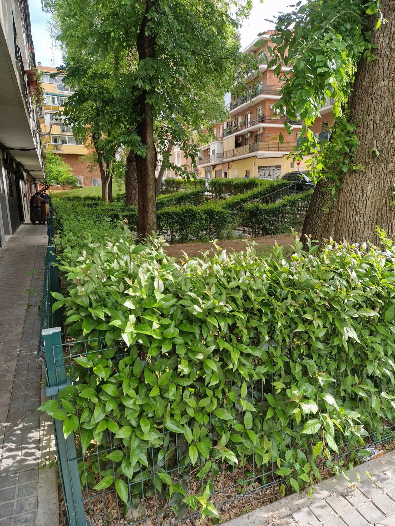 Piso en calle de Doña Mencía, 27 - Foto 2
