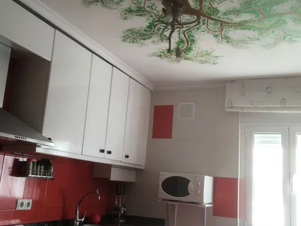 Piso en Calle Benjamín Ortiz, 7, Milán-Pumarín - Foto 1