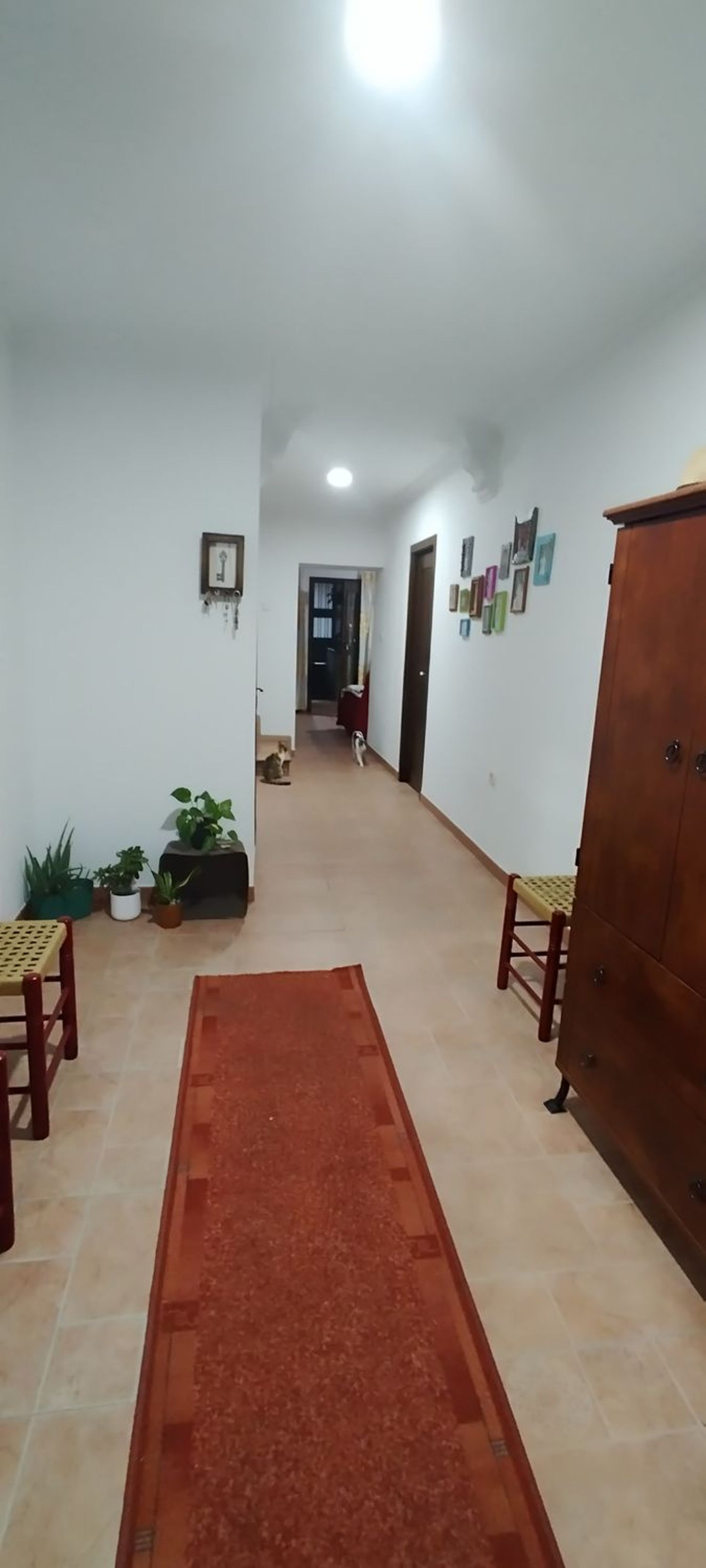 Casa de pueblo en Calle Ramón y Cajal, 106 - Foto 3