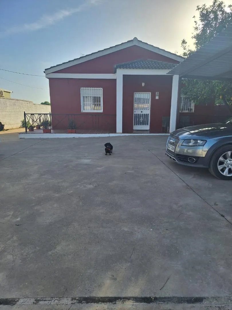 Chalet en  Calle la Revoltosa 5 - Foto 7