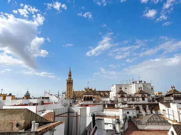Dúplex en Calle Francos, 20, Santa Cruz - Alfalfa - Foto 38