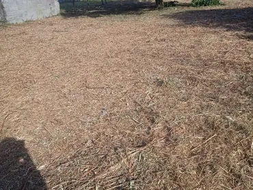 Piso en  Rúa San Lázaro 35 - Foto 5