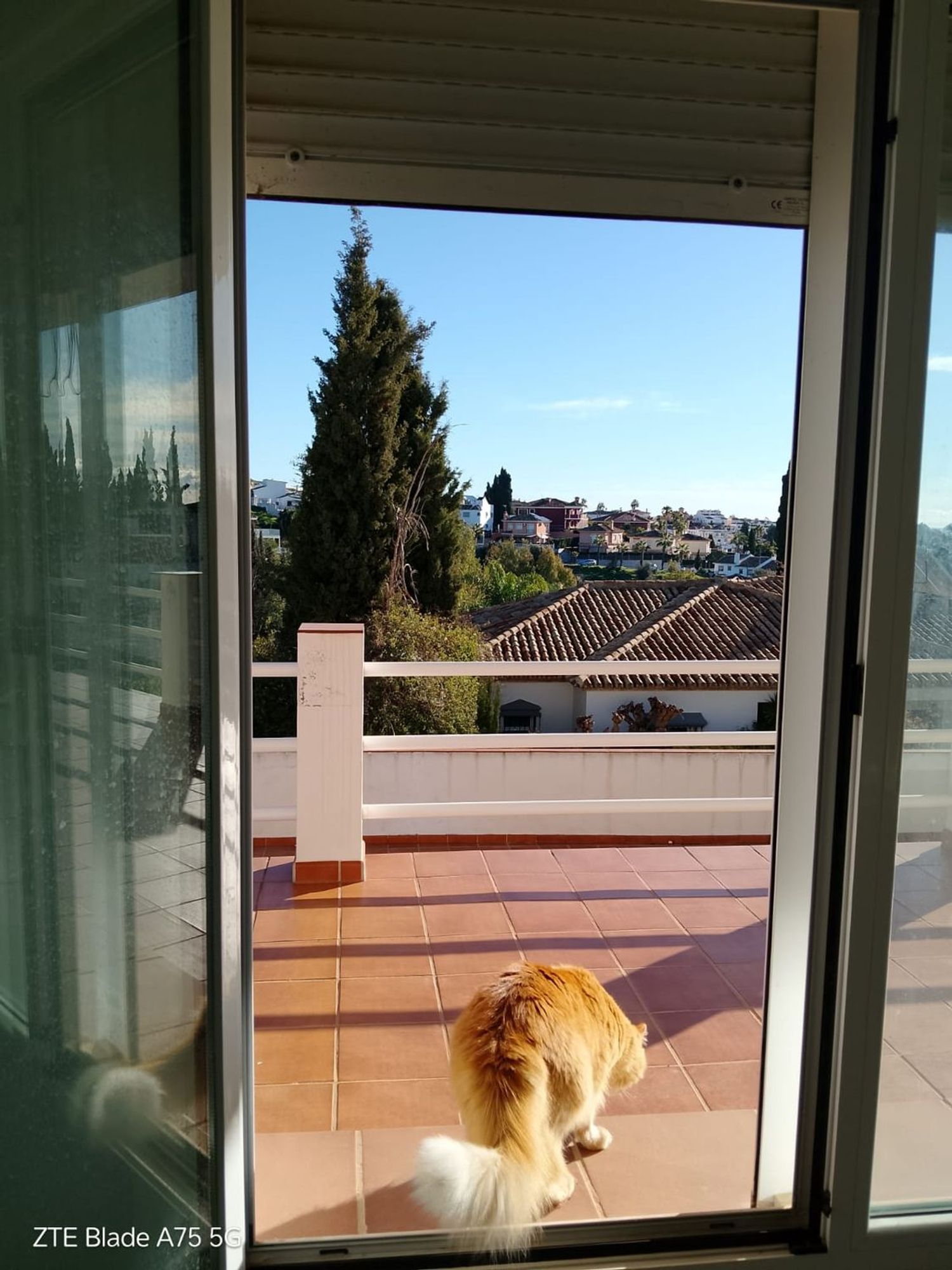 Casa independiente en calle Los Jazmines, 4 - Foto 12