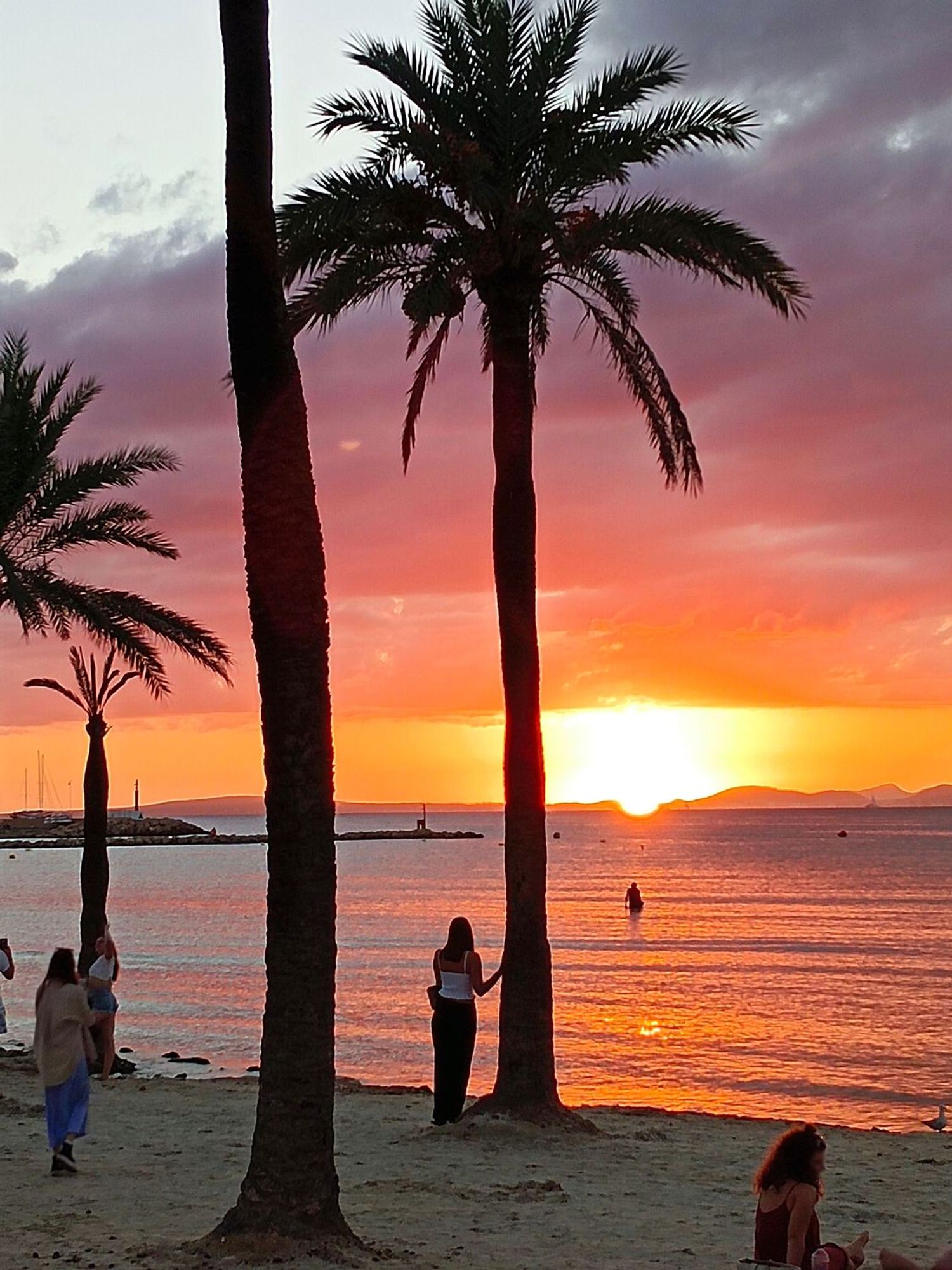 Piso en calle de Milà, 22 - Foto 2