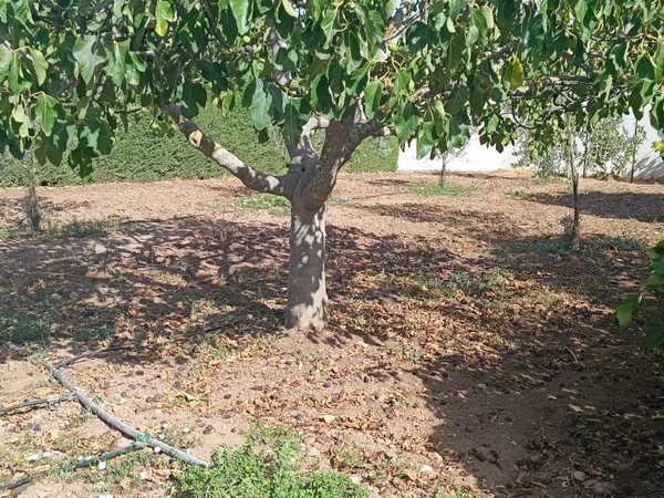 Casa rural en Cuesta Rabana, 17 - Foto 28
