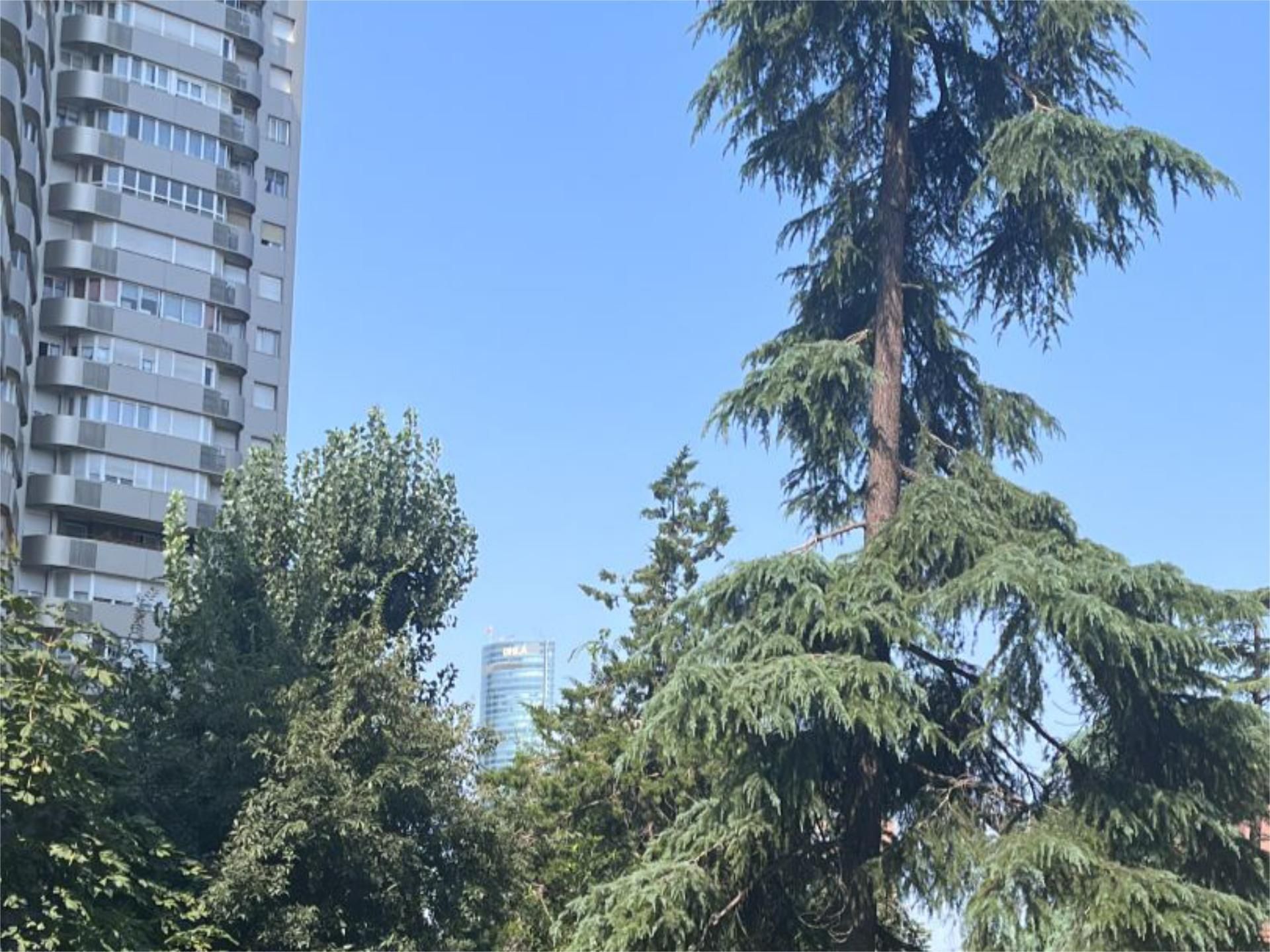 Piso en  Avenida de San Luis 93 - Foto 8