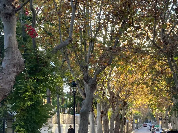 Piso en Calle Goethe, 3 -5, Limonar - Foto 19