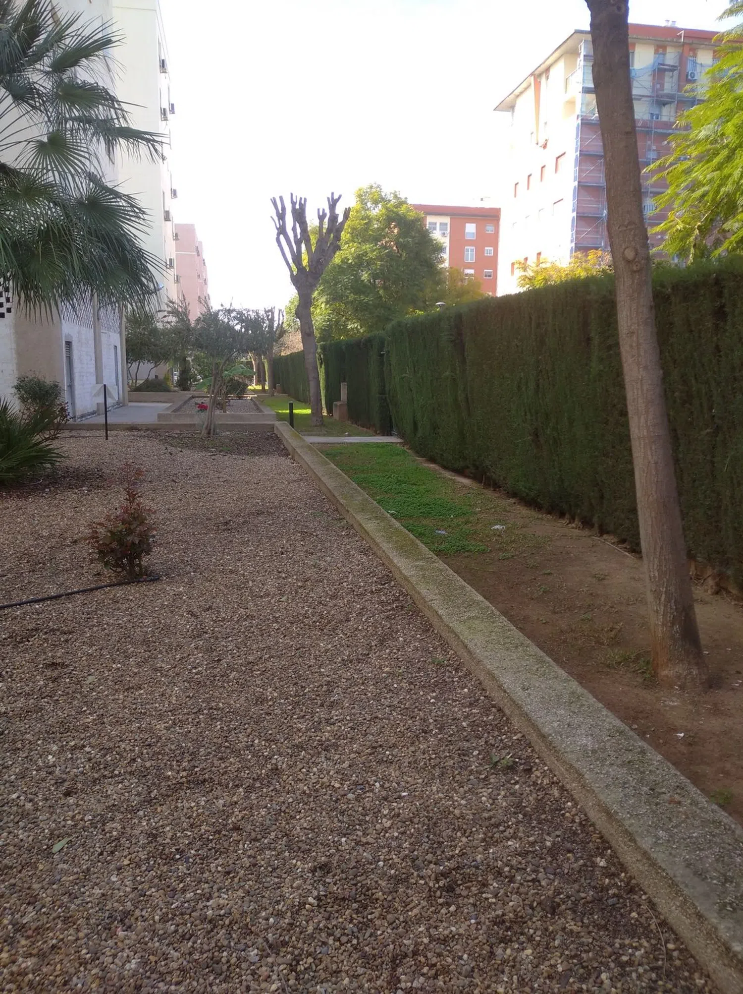 Piso en calle Carmen Conde, 12 - Foto 6
