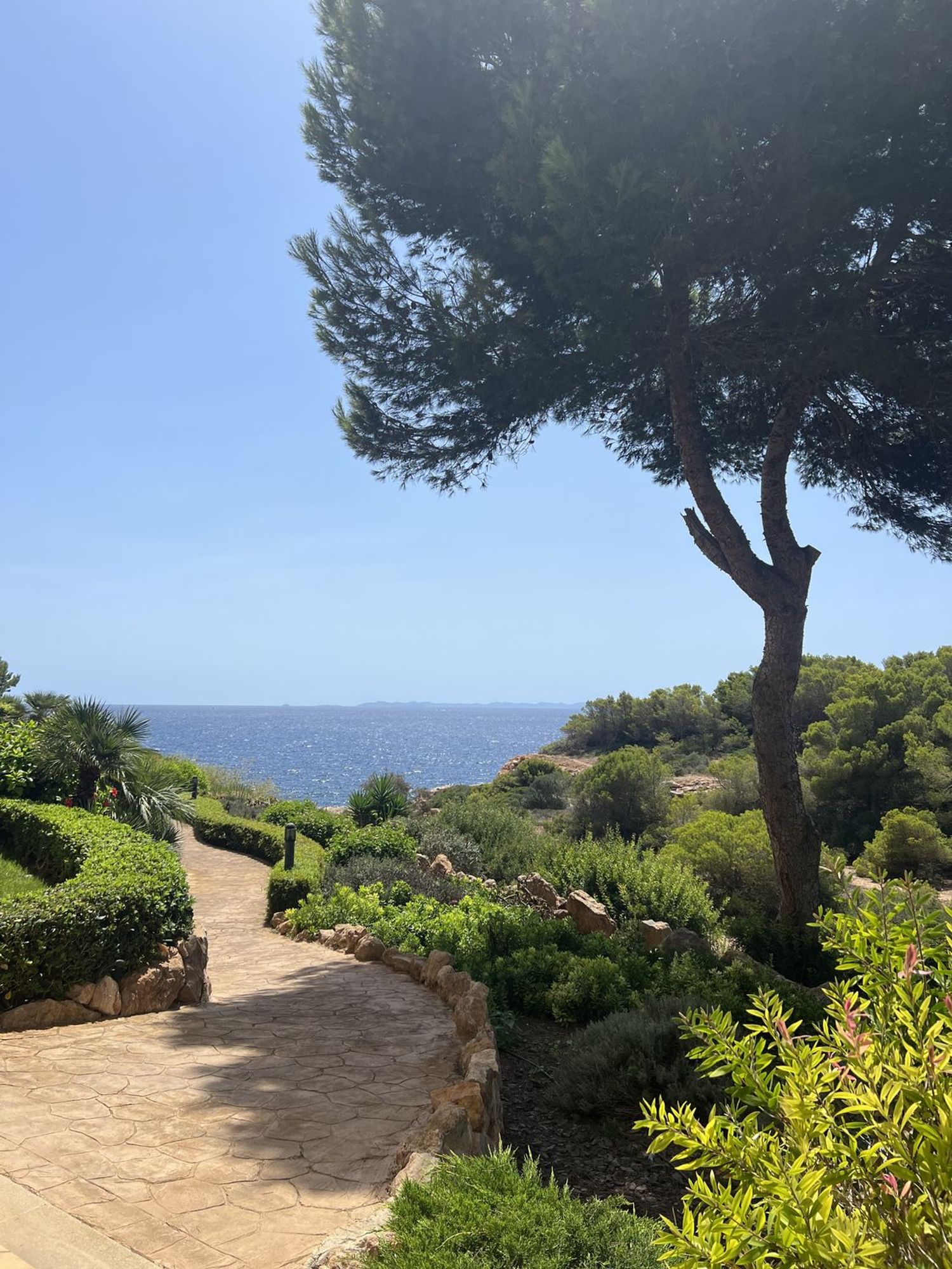 Piso en Calle de Murillo, 8, Cala Pi-Vallgornera, Cala Pi-Vallgornera - Foto 8