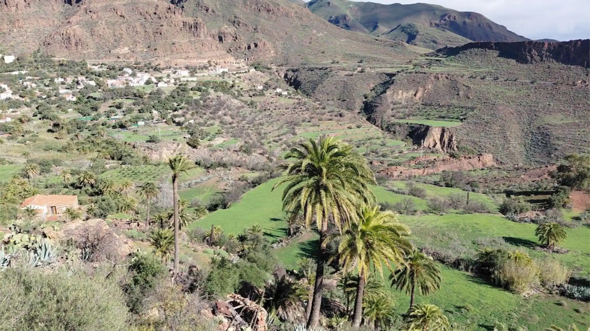 Finca rústica en calle Calle Espíritu Santo 15 - Foto 41