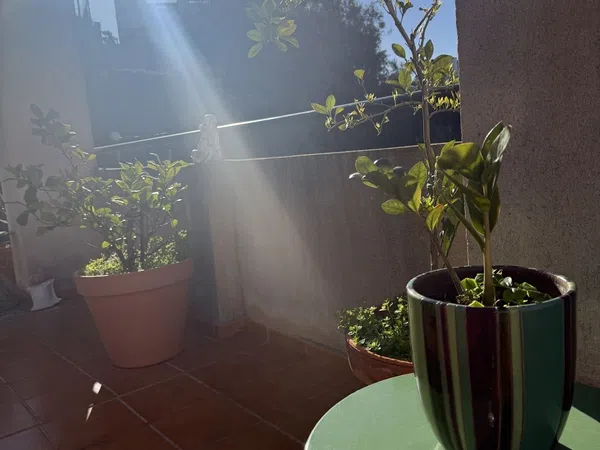 Ático en calle Verdial, 29 - Foto 11