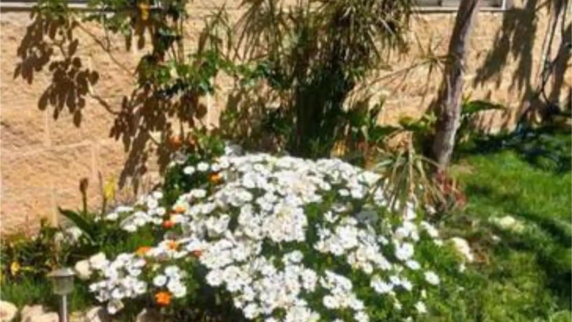 Chalet en Club Camping Bohalar (garrapinillos - Foto 3