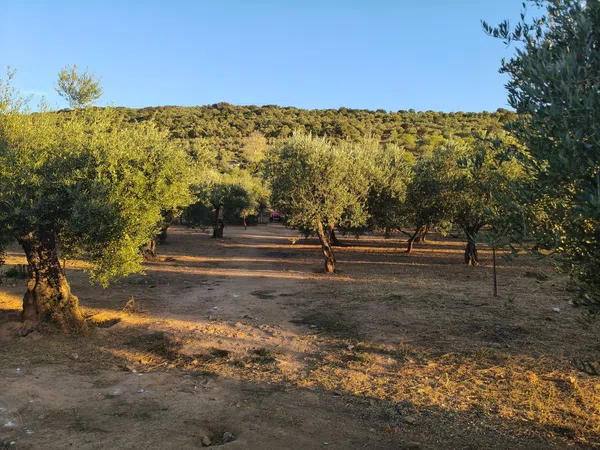Finca rústica en Calle Zorro, 16 - Foto 5