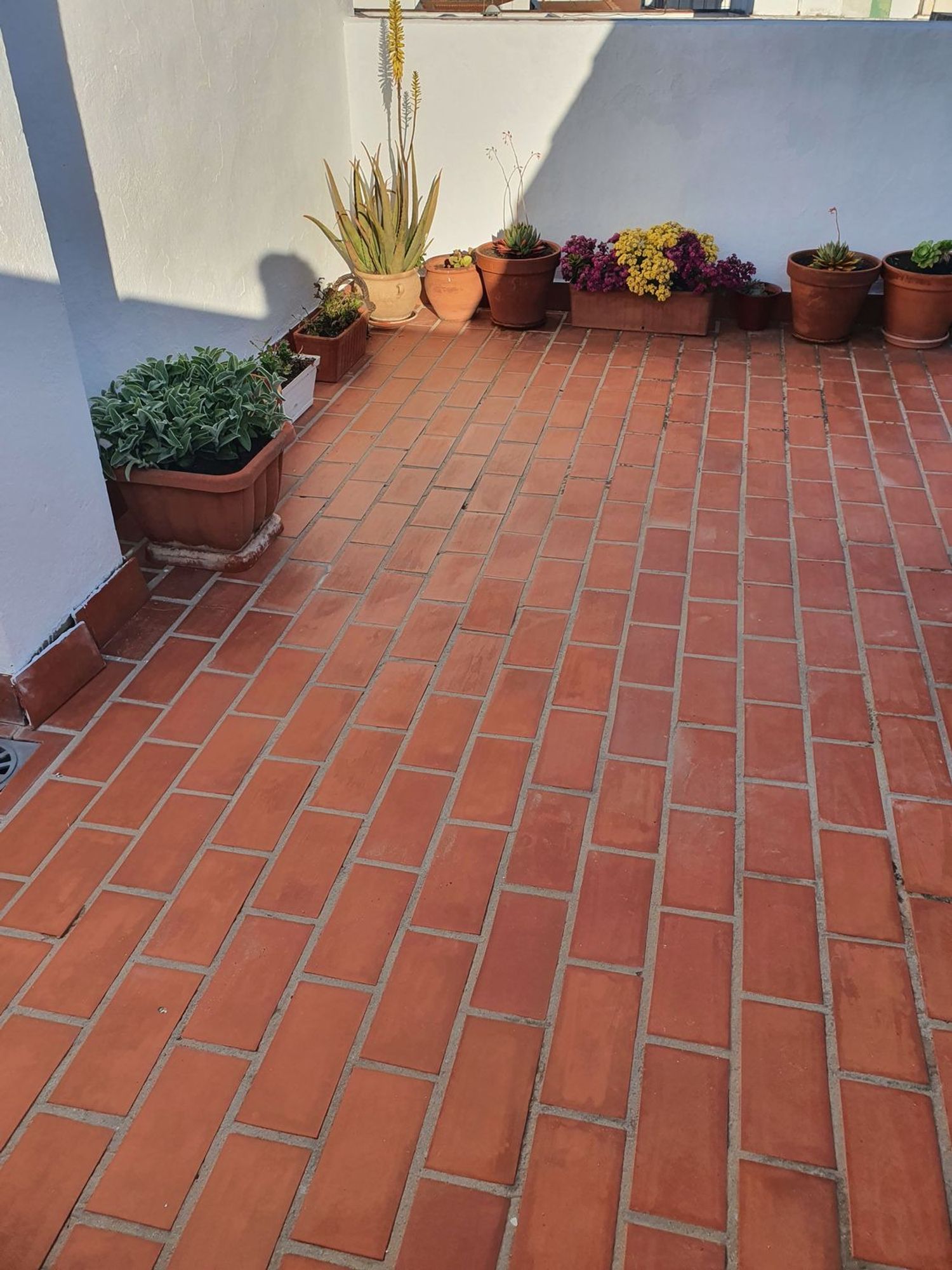 Casa o chalet independiente en Calle Santa Rafaela Maria, 52 h - Foto 10