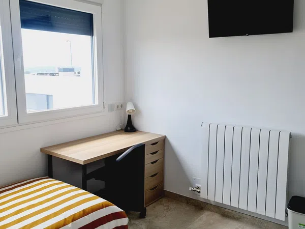 Estudio en abetos, 34 - Foto 1