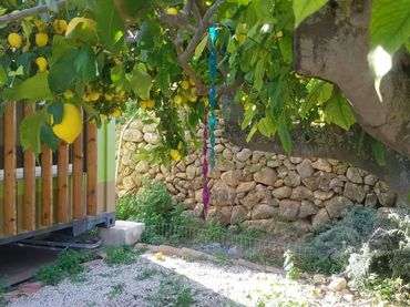 Finca rústica en - Foto 21