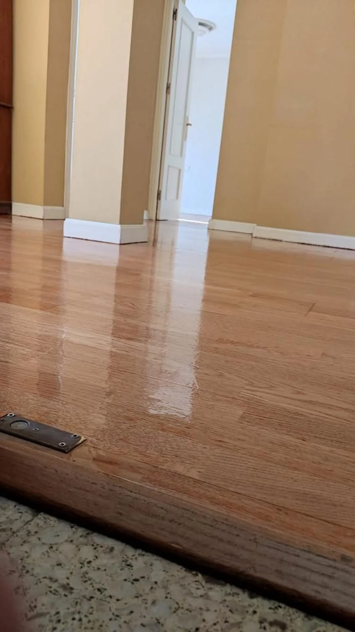 Piso en calle Gustavo Bacarisas, 4 - Foto 3