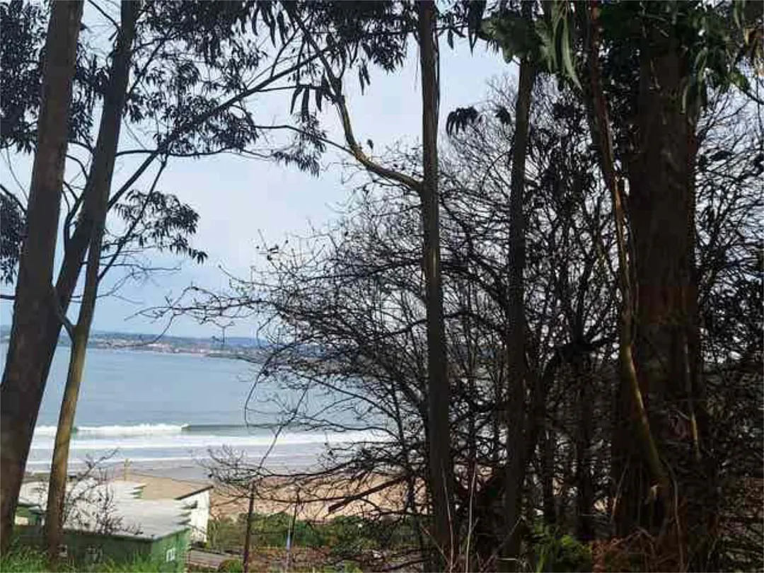 Apartamento en BASTIAGUEIRO - Foto 4