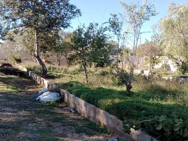 Finca rústica en camino de Bayarri, 92 PoligonoR - Foto 20