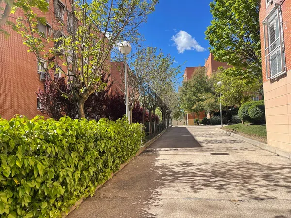 Piso en avenida del Doctor Severo Ochoa, 17 - Foto 19