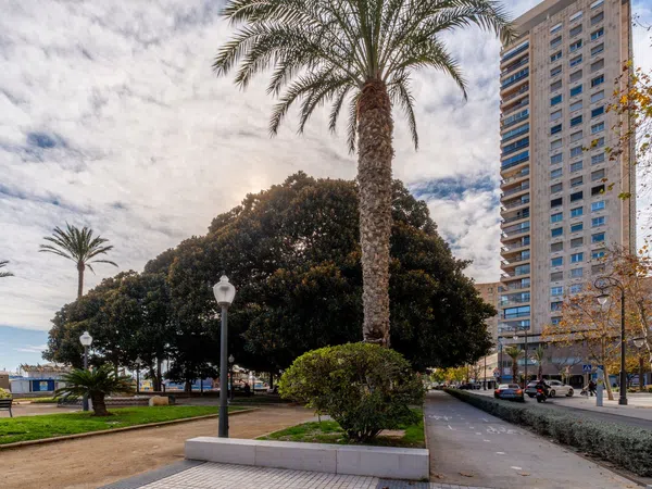 Piso en Avenida del Doctor Gadea, 1, Ensanche-Diputación - Foto 31