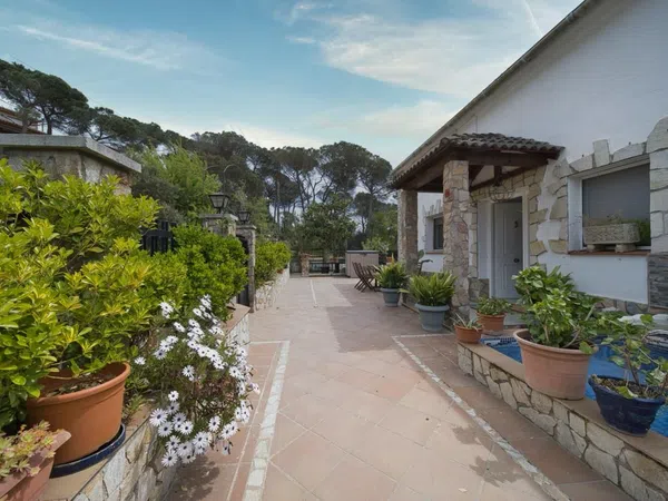 Casa o chalet independiente en Calle del Puig Colomer, 120 - Foto 4