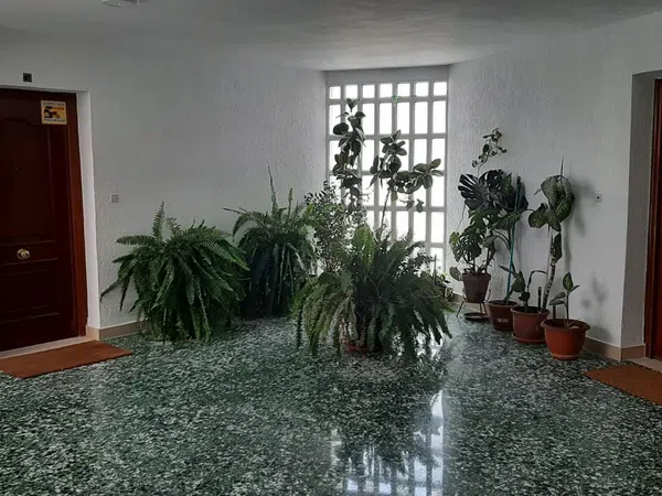 Piso en plaza Pintor Amalio García del Moral, 9 - Foto 26