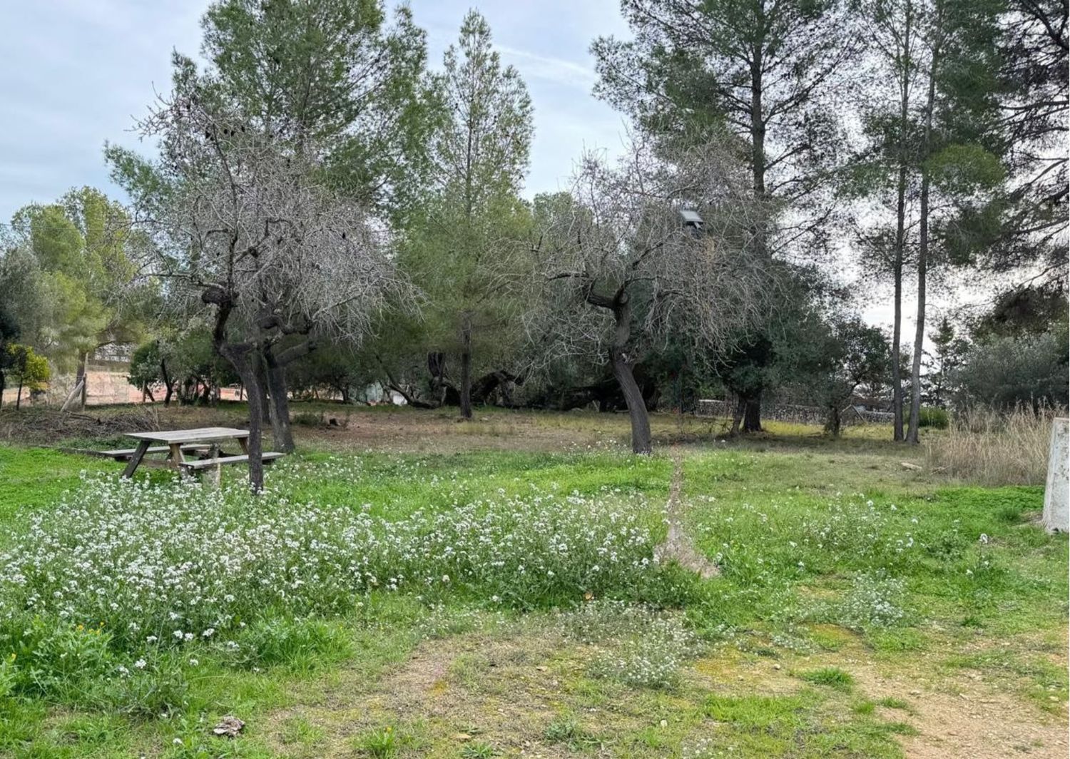 Casa rural en Puigmoltó-Can Macià - Foto 24