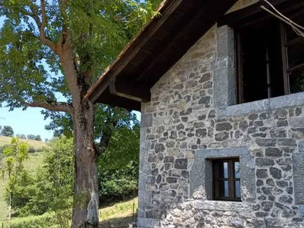 Finca rústica en Los Payares s/n - Foto 2