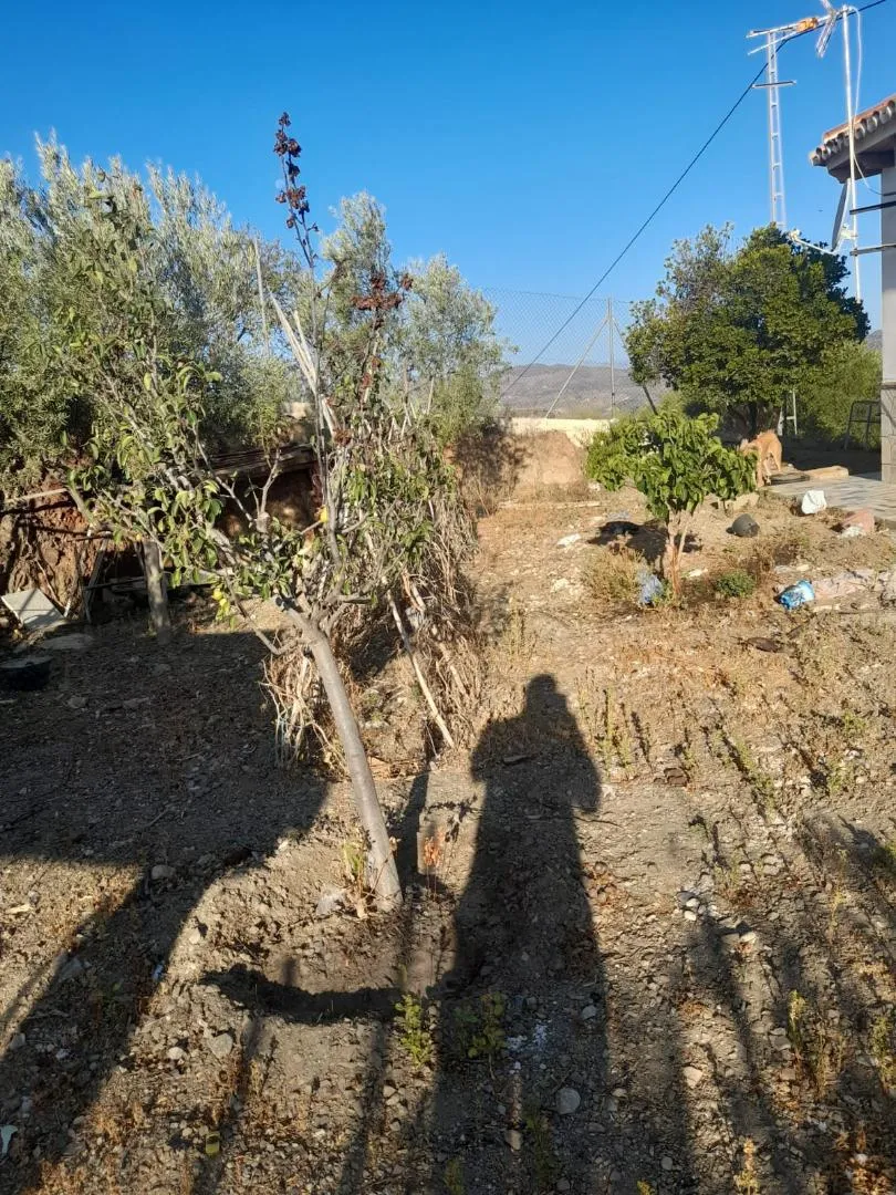 Chalet en  Diseminado Diseminados 631 - Foto 5