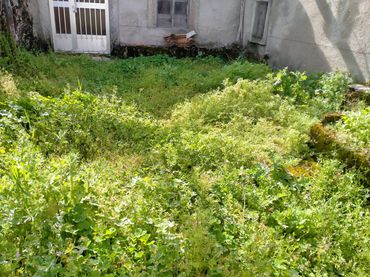 Planta baja en  Calle las Eras 24 - Foto 10