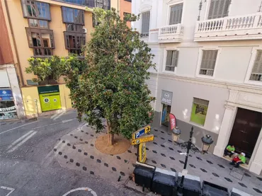 Piso en  Plaza del Teatro 6 - Foto 1