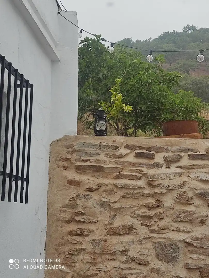 Finca rústica en  Calle de la Constitución 37 - Foto 30