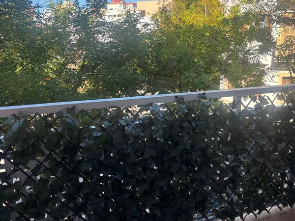 Piso en Calle Semolera, 31, Son Gotleu - Foto 13