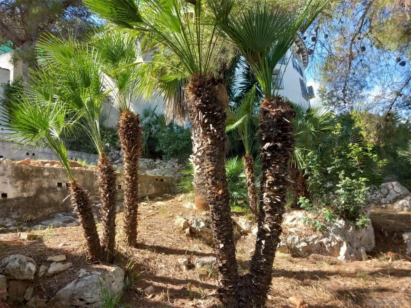 Piso en Pedreguer - Foto 17