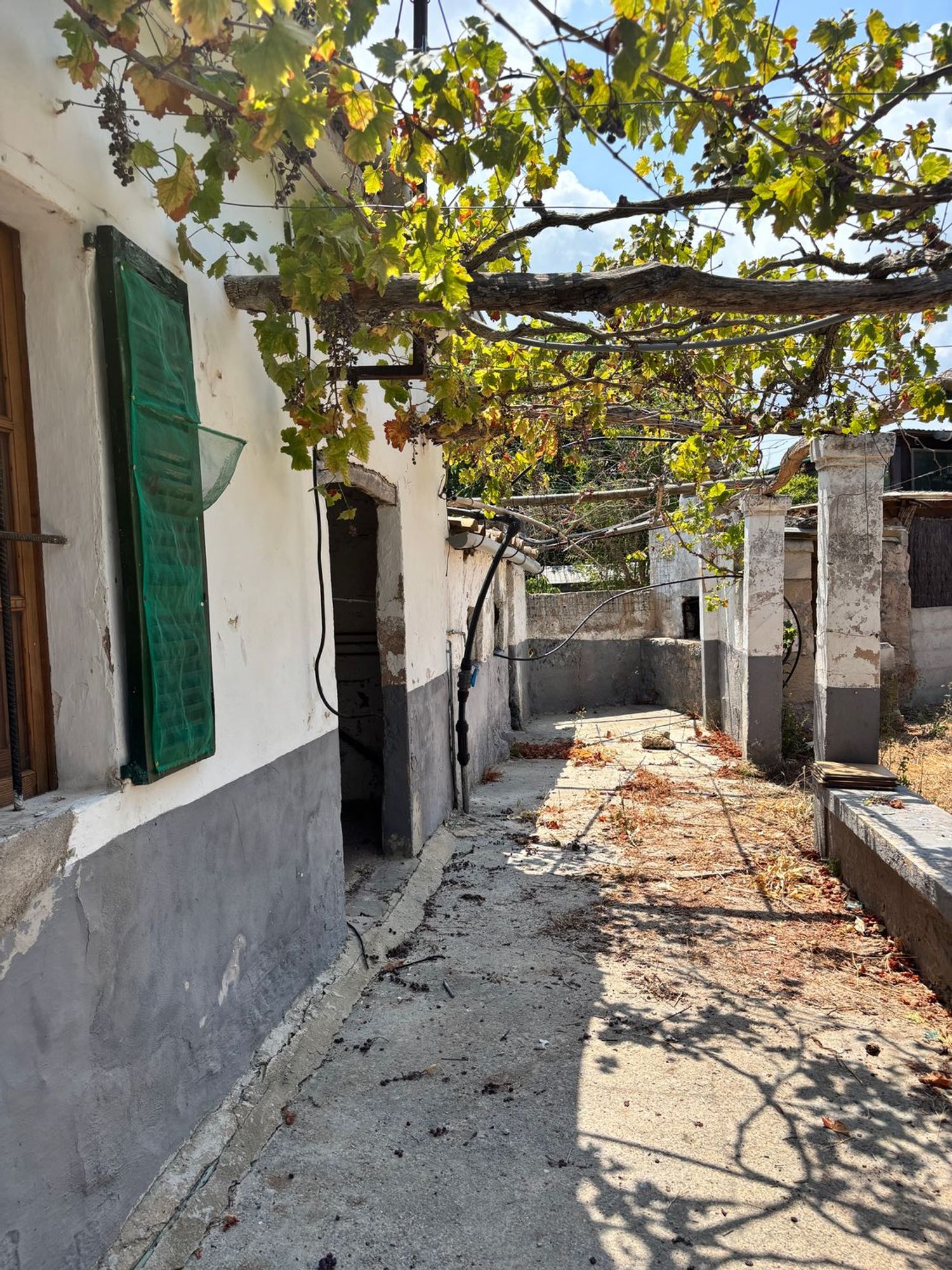 Finca rústica en Santuiri, 2 poligonoparcela, Pollença, Pollença - Foto 3