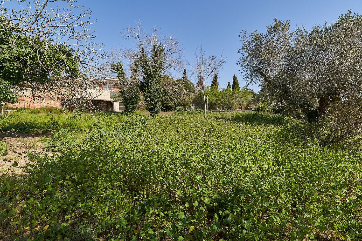 Casa rural en Avenida Catalunya, 20 - Foto 7