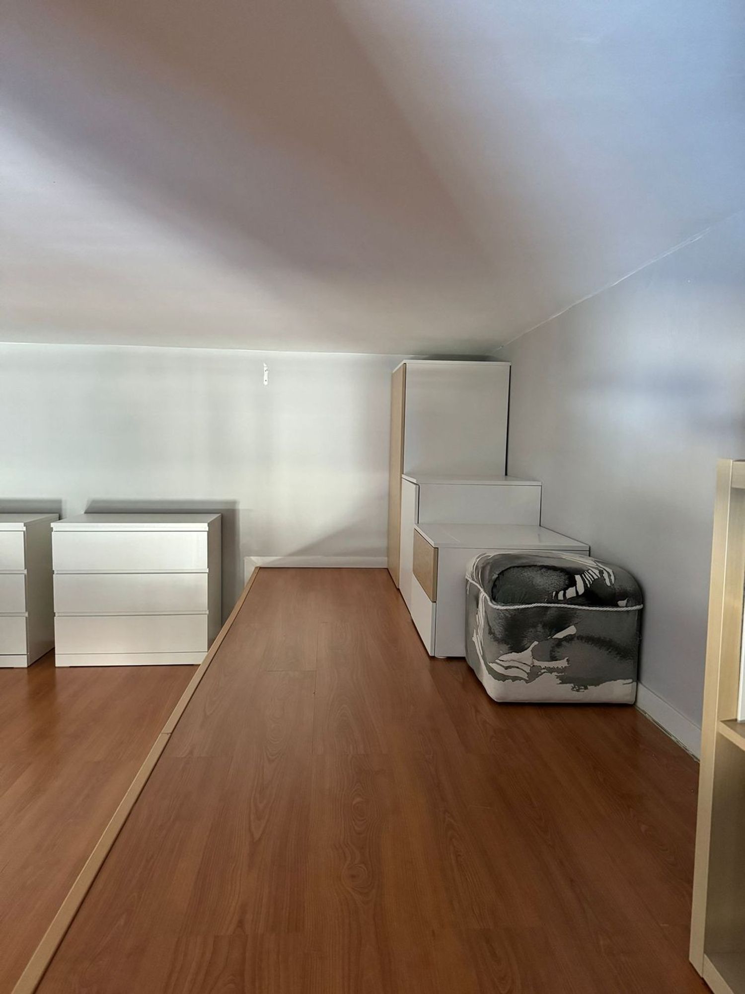 Estudio en Alejandro gamella, 4 - Foto 14