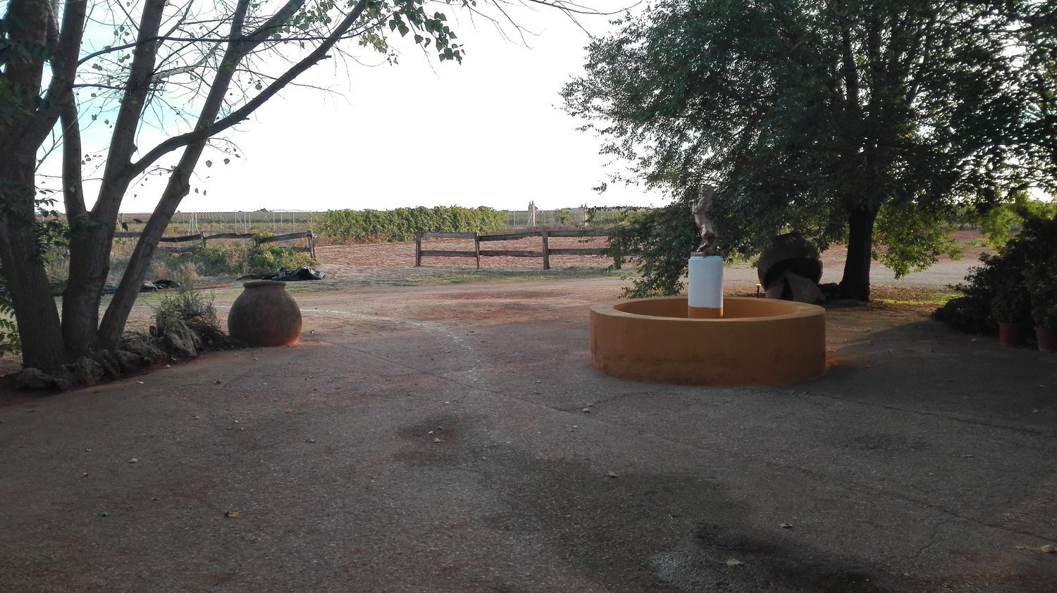 Finca rústica en Carretera de Ossa de Montiel s/n - Foto 5