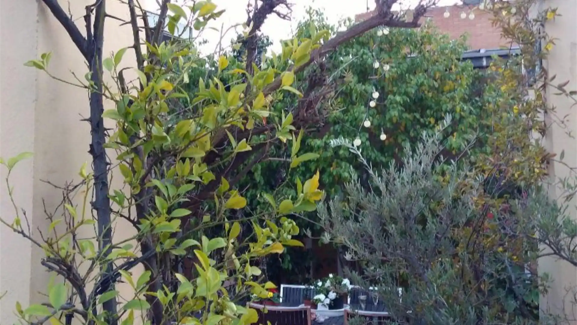 Piso en  Calle Rastro 22 - Foto 3