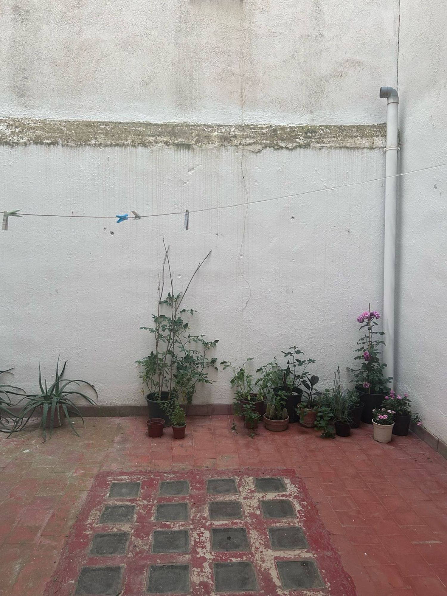 Piso en Calle Martínez Molina, 26, Ctra. Circunvalación - La Magdalena, Ctra. Circunvalación - La Magdalena - Foto 10
