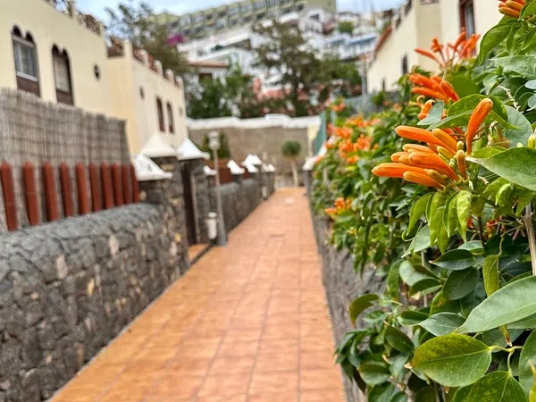 Casa o chalet independiente en Calle Atalisca, 21, San Felipe-San Marcos-Las Cañas, San Felipe-San Marcos-Las Cañas - Foto 4