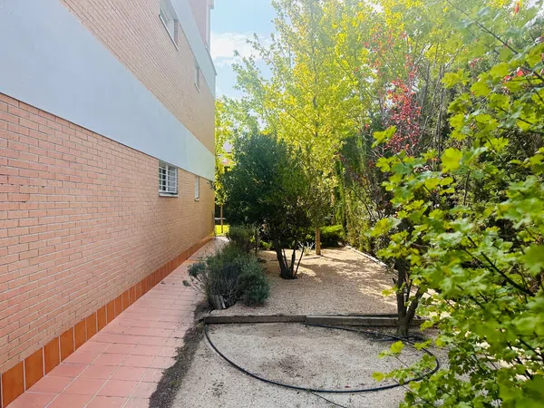 Piso en Juniperos, El Cantizal - Foto 69
