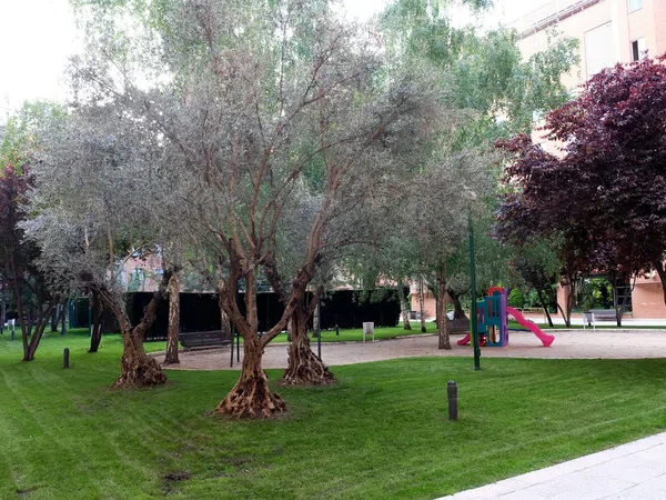 Piso en calle de la Aurora, 23 - Foto 31