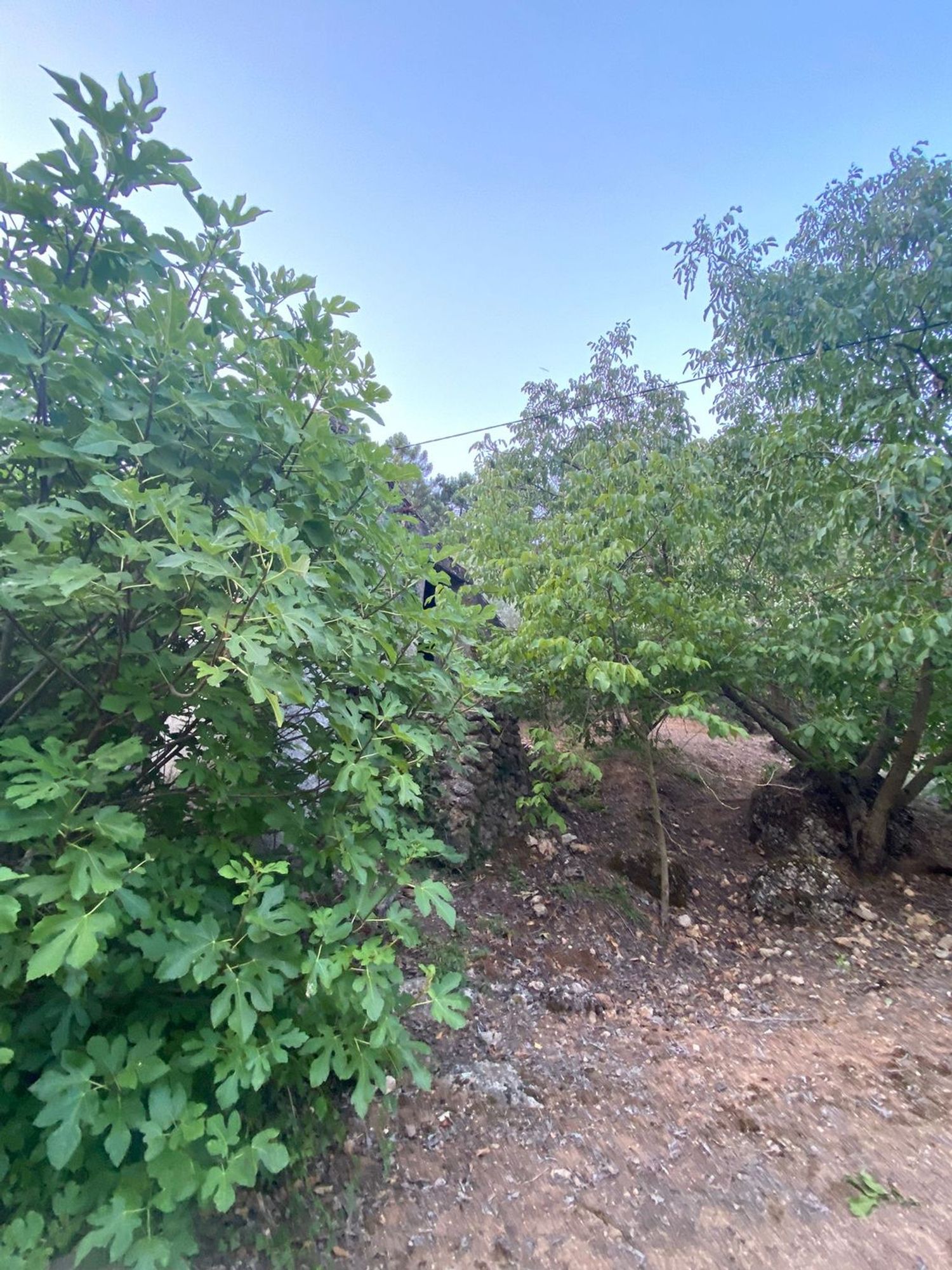 Finca rústica en Sn s/n - Foto 26