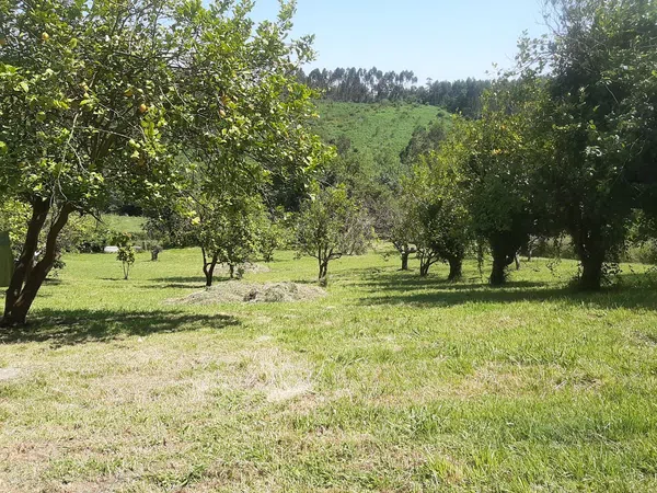 Chalet pareado en Camín de el Biruleo, 1252 a, Bocines - Nembro - Cardo, Bocines - Nembro - Cardo - Foto 24