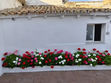 Casa adosada en  Plaza de España 3 - Foto 6